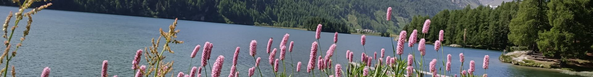 Por una insignificancia: mi desencuentro con Nietzsche en Sils Maria