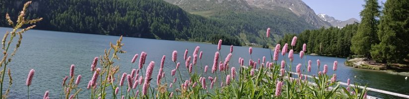 Por una insignificancia: mi desencuentro con Nietzsche en Sils Maria